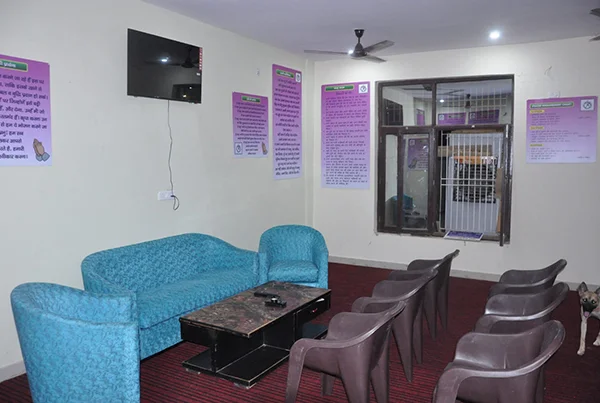 Accommodation and Facilities